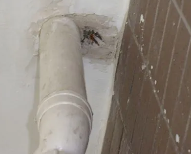 沽源漏水检测哪家好